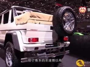 国产跑车剪辑视频,国产跑车激情剪辑,领略速度之美